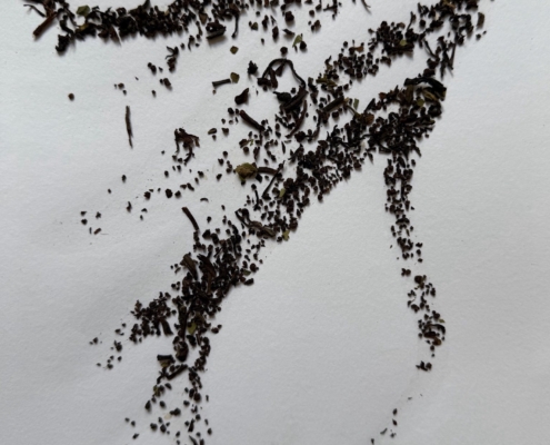 508099422_10085539478165996_8930471166768444960_n